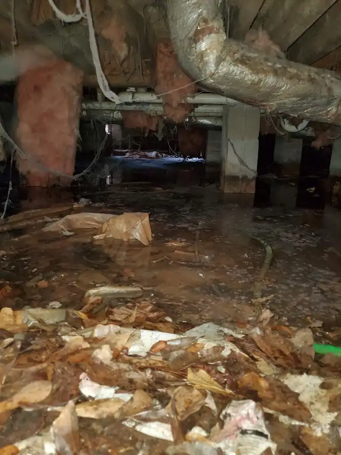 Crawl space flood assessment for Leak Detection & Repair in Bozeman