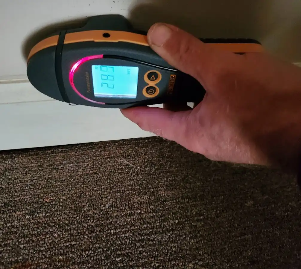 Moisture detection at baseboard during Sewage Cleanup & Sanitation in Bozeman